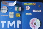 Lapbook z 5.A